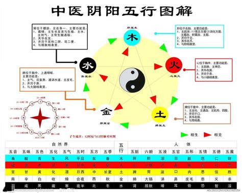 陰陽是什麼|圖解陰陽學說，讓你搞透徹什麼是「陰陽」（含疾病診。